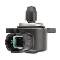 Hulst Piramidevormig - thumbnail