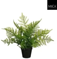 Mica Decorations kunstplant varen 40cm groen - thumbnail