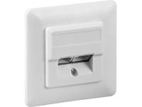 RJ45 Wandcontactdoos Inbouw - 2x RJ45 - CAT-5e - Incl. Afdekraam - Afgeschermde Netwerkdoos - 10 Gigabit - Wit - thumbnail