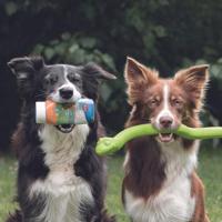 TRIXIE Leber Wurst - Paté voor honden - 110 g - thumbnail