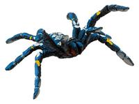 Bullyland Blauwe siertarantula (68459) - thumbnail
