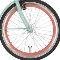 Alpina voorwiel 22 j19db salomon zink spk - thumbnail