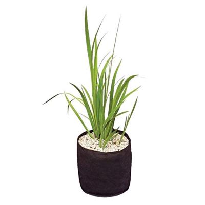 Velda Plantenmandje 15x15 cm - Flexibel & Sterk Fijnmazig voor Gezonde Vijverplanten
