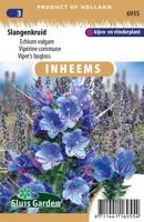 Inheemse Echium vulgare Slangenkruid zaden - thumbnail