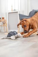 TRIXIE BE NORDIC HONDENSPEELGOED SCHILDPAD HAUKE STOF / PLUCHE 34 CM 2 ST - thumbnail