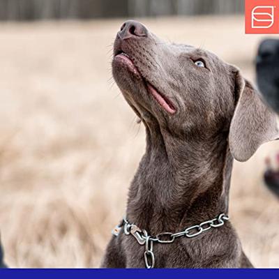 Hondenhalsband Hs Sprenger Zilverkleurig 3 mm Schakels Halflang 50 cm