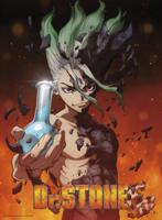 Poster Dr Stone - Senku 38x52cm - thumbnail