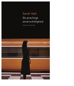 De prachtige onverschilligheid - Sarah Hall - ebook