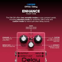 Boss DM-2W - thumbnail