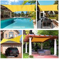 Rode beveerde beukenboom - thumbnail