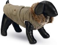 DBL HONDENJAS PHILOS GRN S 24 - thumbnail