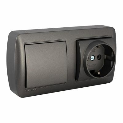 Dubbele Stopcontact + Schakelaar Basis Solera Mural 2p+t 250 V 16 A Grafiet