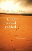 Door vreemd gebied - Pieter L. de Jong - ebook - thumbnail