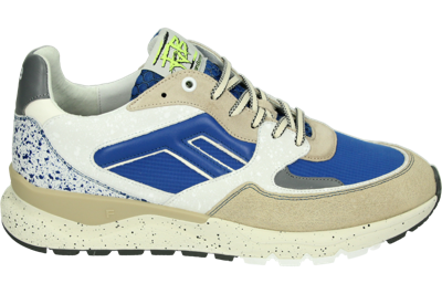 Floris van Bommel DE TREENER 01.40 - alle