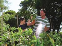 Hozelock multi spray plus - thumbnail