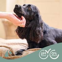 Beaphar shampoo hond zwarte vacht - thumbnail