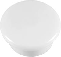 Westcott AC-E10800 Magneet Wit Pak à 10st. Ø 15x8mm, 100g - thumbnail