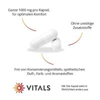 L-Glutamine 1000 MG - 60 capsules - thumbnail