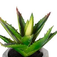 Decoratieve plant Atmosphera 7 x 14 cm Groen PVC - thumbnail