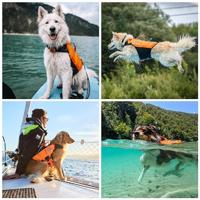 Non-Stop dogwear Protector Life 1732 Zwemvest, SUB, revalidatie, maat: 3 - thumbnail