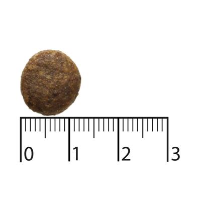 Bozita Honden Puur Adult Active Rendier Grain Free 2.5kg
