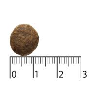 Bozita Honden Puur Adult Active Rendier Grain Free 2.5kg - thumbnail