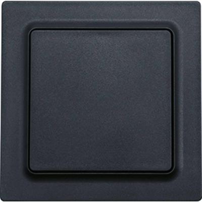 Eltako WT55E-am Toets Inbouw (in muur)