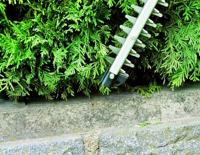 Einhell GH-EH 4245 Heggenschaar Elektrisch 420 W 450 mm - thumbnail