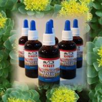 Dr B Rhodiola tinctuur 50 Milliliter - thumbnail