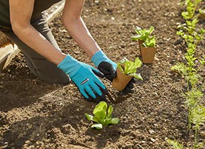 Gardena Plant- en bodemhandschoen L - 11512-20 - 11512-20 - thumbnail
