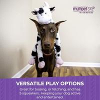 Happy Pet swingin slevins koe - thumbnail