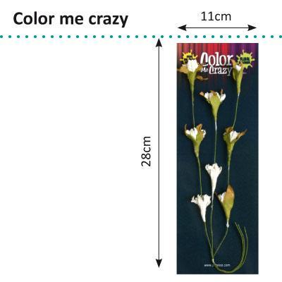 Petaloo • color me crazy flowering vine spray