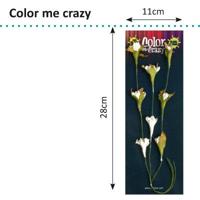 Petaloo • color me crazy flowering vine spray - thumbnail
