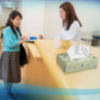 Facial tissues scott 2laags 100 vel wit - thumbnail