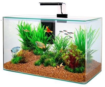 ZOLUX AQUARIUM CLEAR KIT ZWART 32 LTR 50X25X38 CM