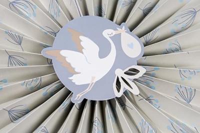 Honeycomb Waaier Blooming Baby Boy (3st)