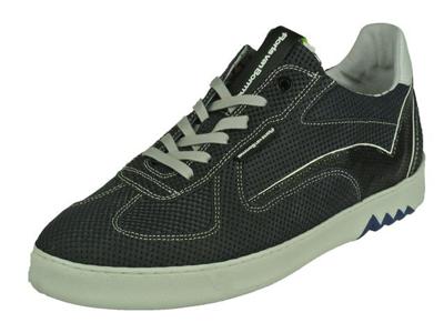 Floris Van Bommel Floris Sport