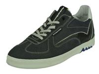 Floris Van Bommel Floris Sport - thumbnail