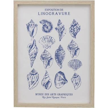 Poster Schelpen Linogravure - MDF/glas - 40x30 cm - Leen Bakker