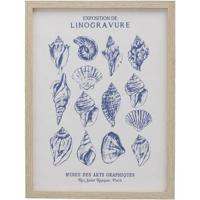 Poster Schelpen Linogravure - MDF/glas - 40x30 cm - Leen Bakker - thumbnail