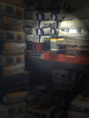 Black Stripe Mottenval