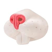 Neus Konijn - thumbnail