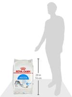 Royal Canin Indoor 27 kattenvoer 10kg - thumbnail