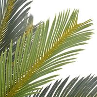 Kunstplant cycaspalm met pot groen 90 cm hoog - thumbnail