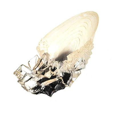 Noble Collection Harry Potter: The Crystal Goblet decoratie