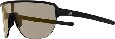 Alpina ram 2.0 q-lite - sports glasses