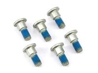 TRW bouten set screw set 6pcs. m8x1,25 - thumbnail