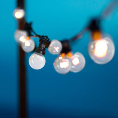 LUMIJARDIN Zonneslinger 10 LED-lampen - Warm wit - Party clear solar