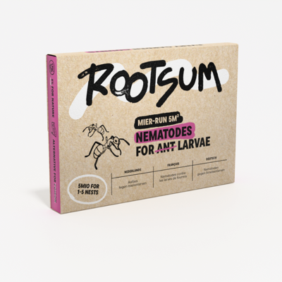 MIER-RUN | Aaltjes tegen mieren