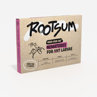 MIER-RUN | Aaltjes tegen mieren - thumbnail